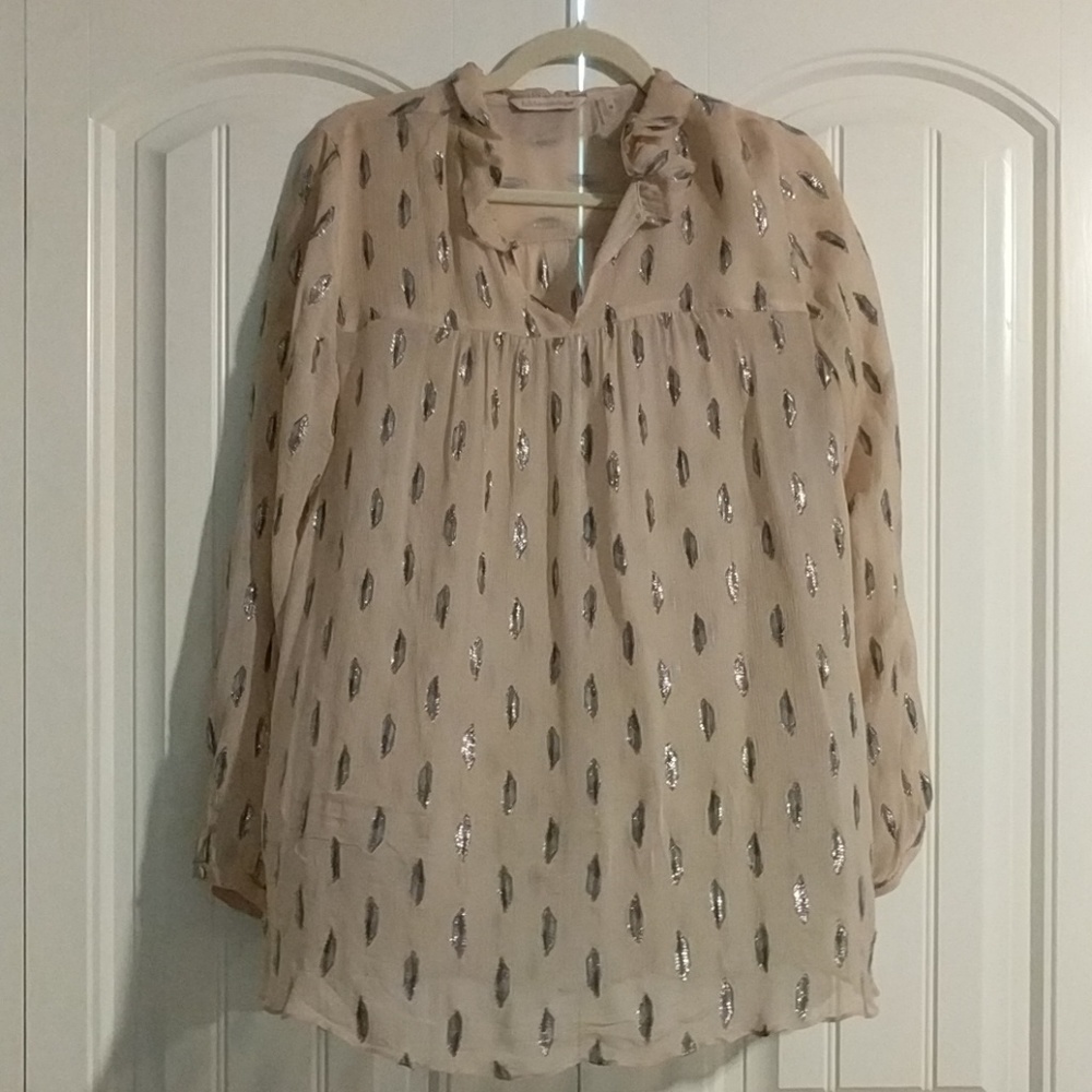 FREE Soft Surroundings Sheer Glitter Tunic
